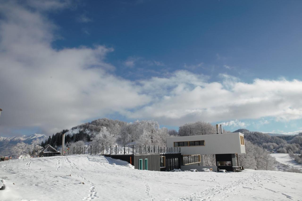 Ursa Mica Glamping Resort Şirnea Esterno foto