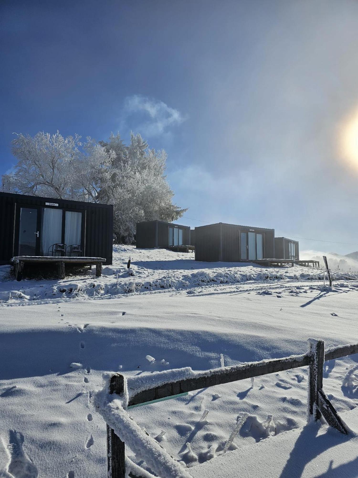 Ursa Mica Glamping Resort Şirnea Esterno foto