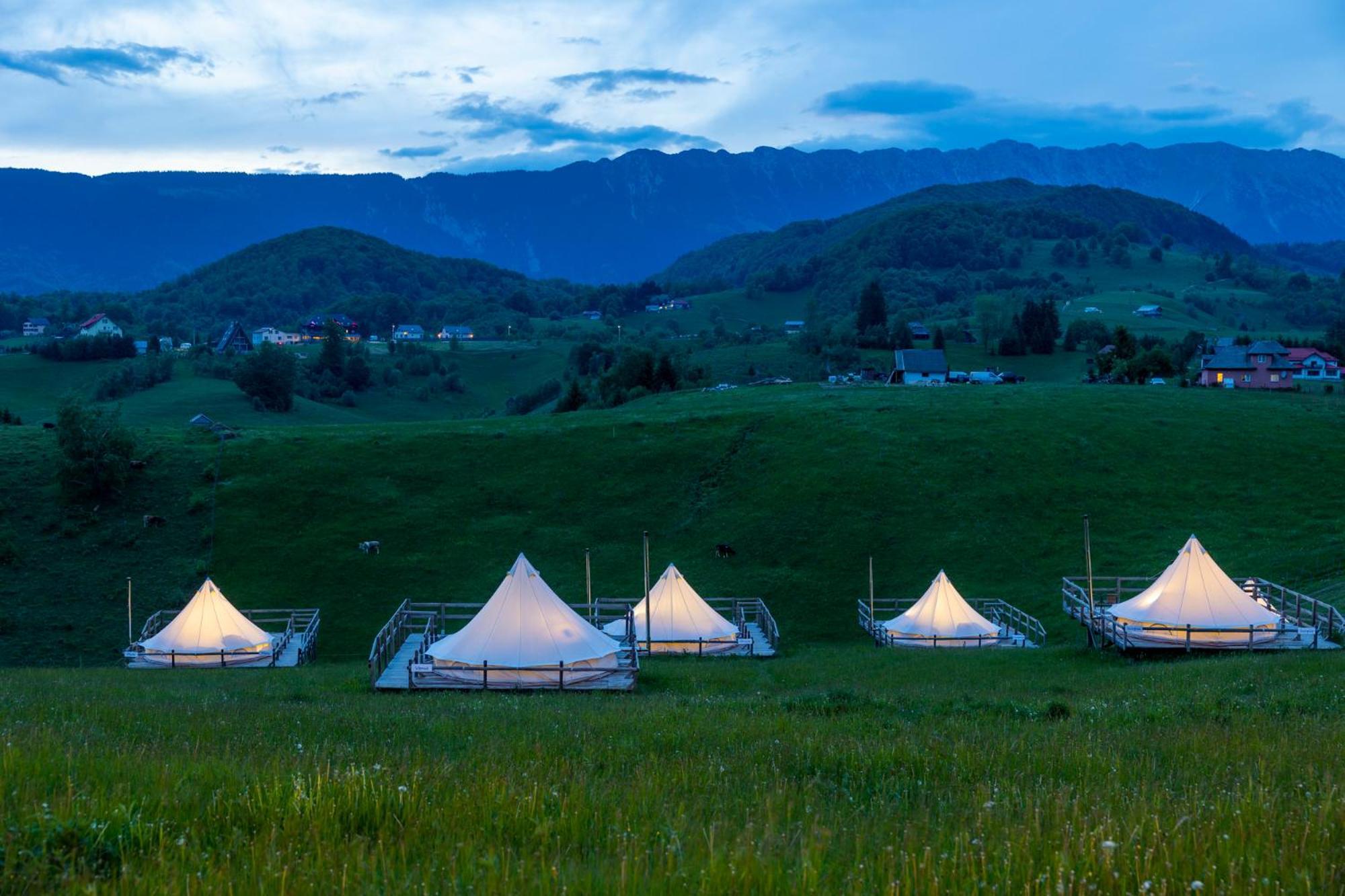 Ursa Mica Glamping Resort Şirnea Esterno foto