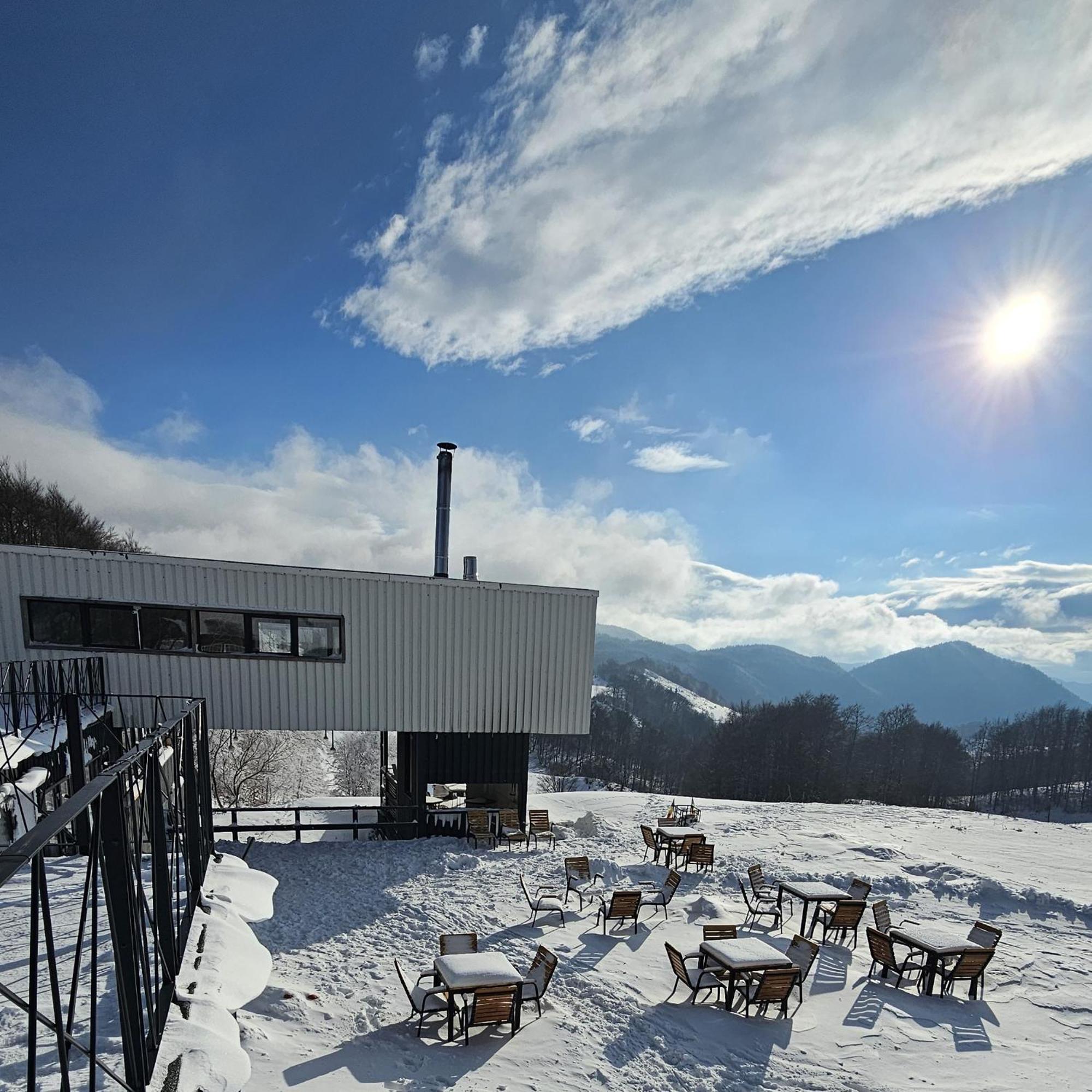 Ursa Mica Glamping Resort Şirnea Esterno foto