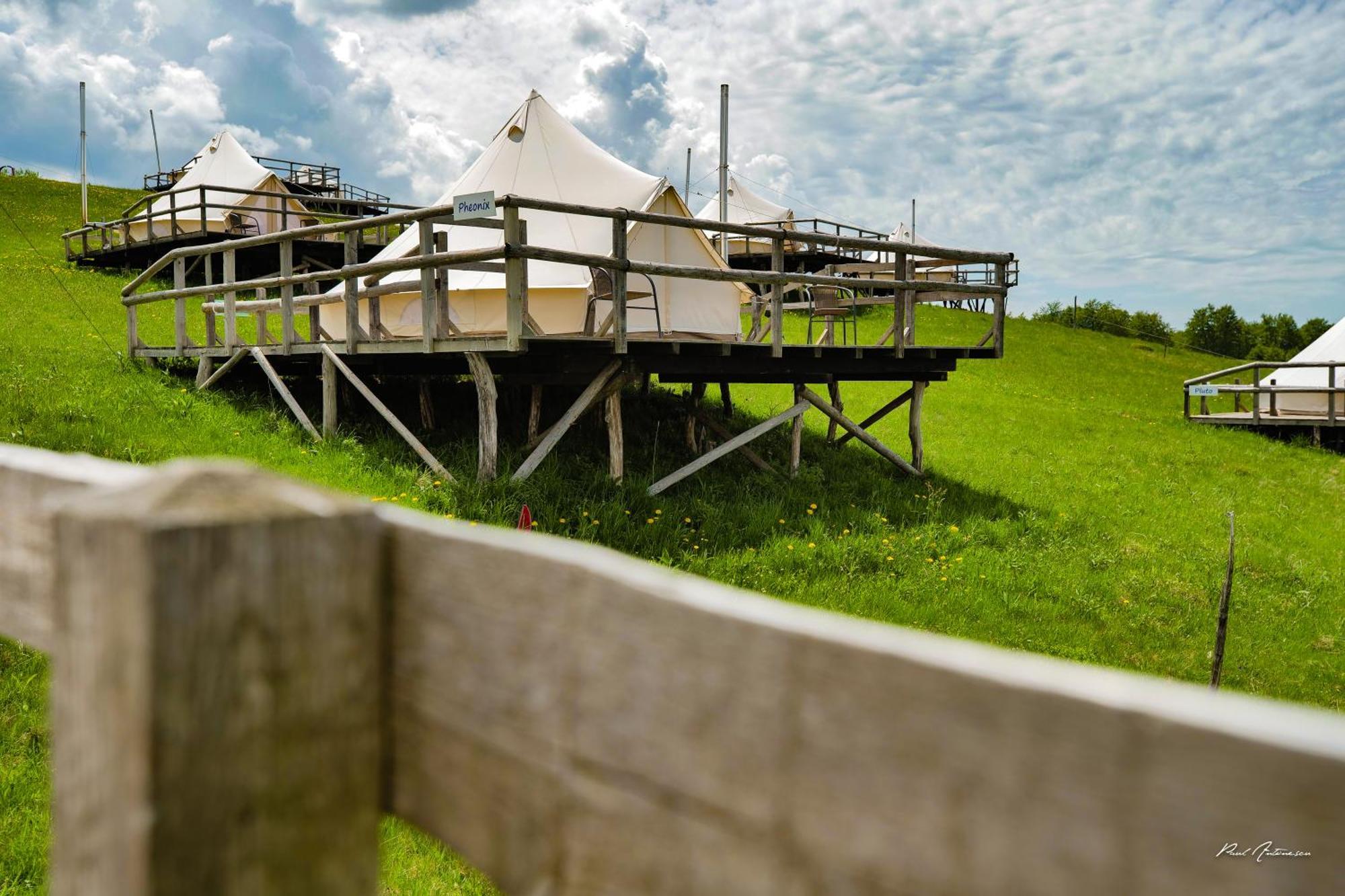 Ursa Mica Glamping Resort Şirnea Esterno foto