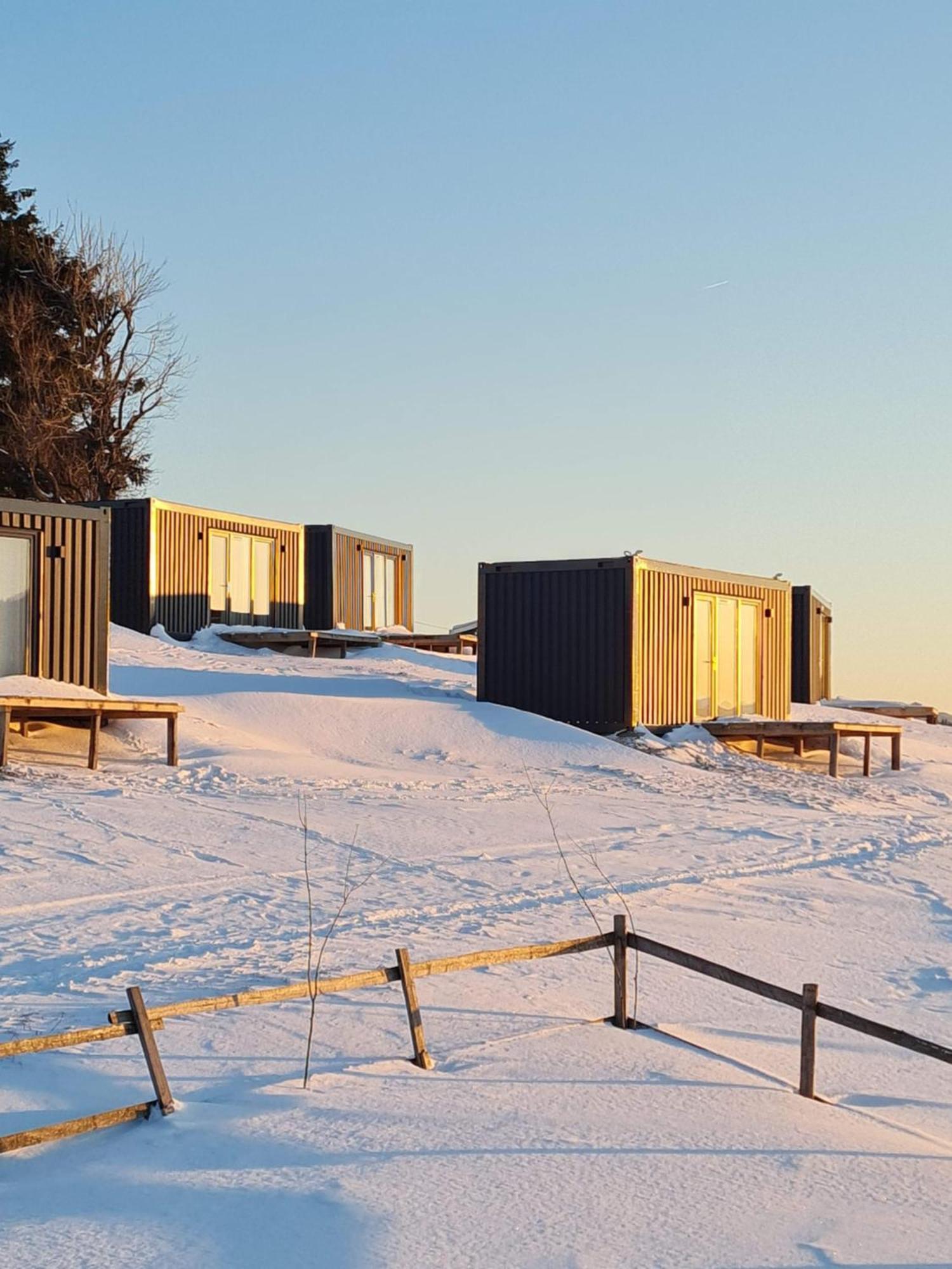 Ursa Mica Glamping Resort Şirnea Esterno foto